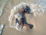 Resize of DSCF2573.JPG